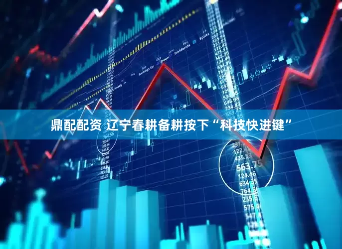 鼎配配资 辽宁春耕备耕按下“科技快进键”