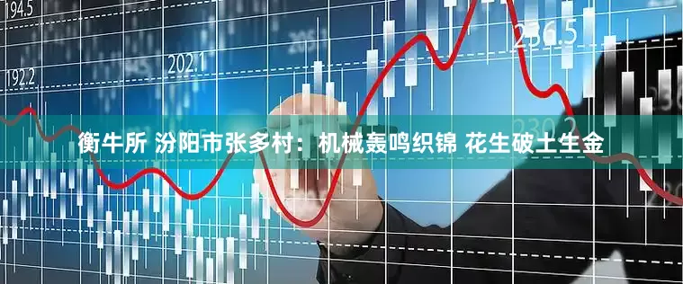 衡牛所 汾阳市张多村：机械轰鸣织锦 花生破土生金