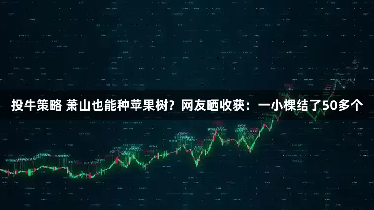 投牛策略 萧山也能种苹果树？网友晒收获：一小棵结了50多个