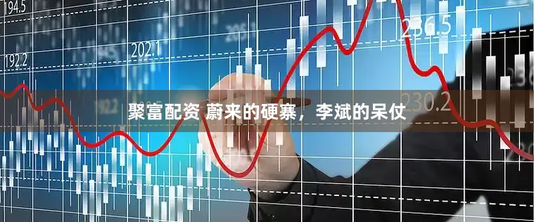 聚富配资 蔚来的硬寨，李斌的呆仗