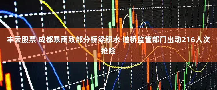 丰云股票 成都暴雨致部分桥梁积水 道桥监管部门出动216人次抢险
