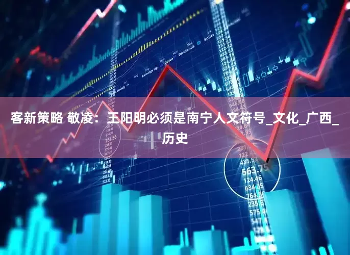 客新策略 敬凌：王阳明必须是南宁人文符号_文化_广西_历史